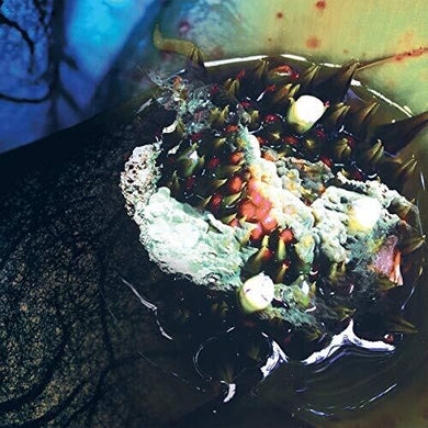 Reidy, Julia: In Real Life (Vinyl LP)