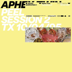 Aphex Twin: Peel Session 2 (12-Inch Single)