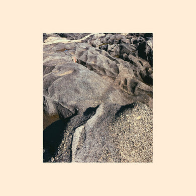Shahabi, Shida: Shifts (Vinyl LP)