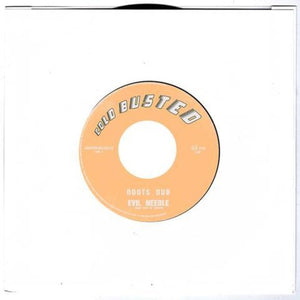 Evil Needle & Q Funktion: Roots Dub / My Music (7-Inch Single)