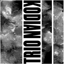 Kodian Trio: II (Vinyl LP)
