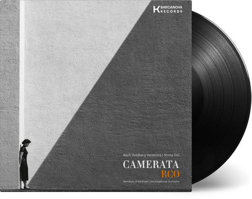 Camerata Rco: Electric Monkey Sessions 2 (Vinyl LP)