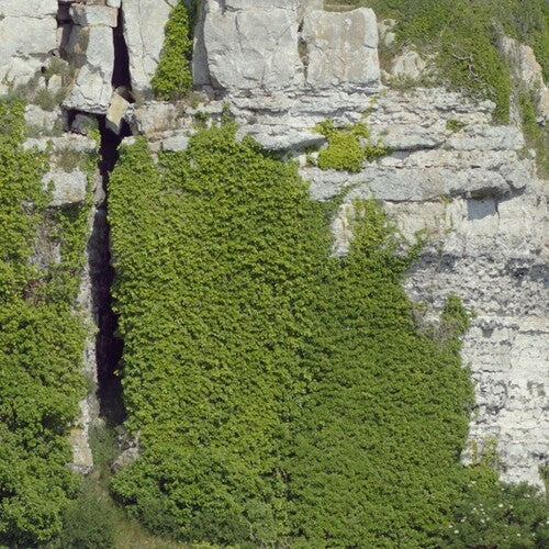 Kimberlin / O.S.T.: Kimberlin (Original Soundtrack) (Vinyl LP)