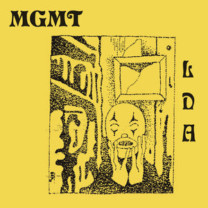 Mgmt: Little Dark Age (Vinyl LP)