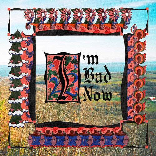 Nap Eyes: I'm Bad Now (Vinyl LP)