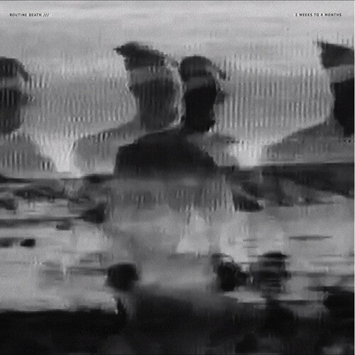 Routine Death: 2 Weeks To 4 (Vinyl LP)