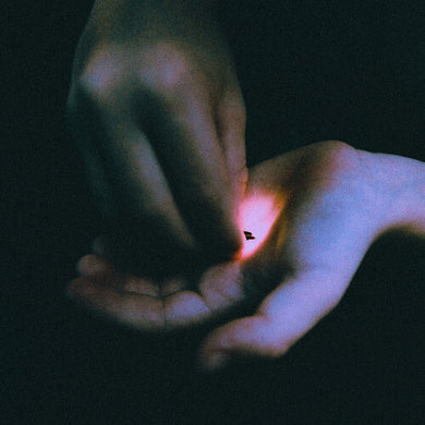 Bambara: Stray (Indie Exclusive) (Color Vinyl) (Vinyl LP)