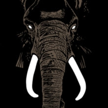 Palm Unit: Don't Buy Ivory Anymore [Deluxe] (Vinyl LP)