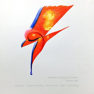 Fantastic Voyage: In Tribute Vol. 1 / Various: Fantastic Voyage: In Tribute Vol. 1 (Various Artists) (7-Inch Single)