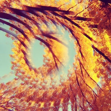 Hawk & a Hacksaw: Forest Bathing (Vinyl LP)