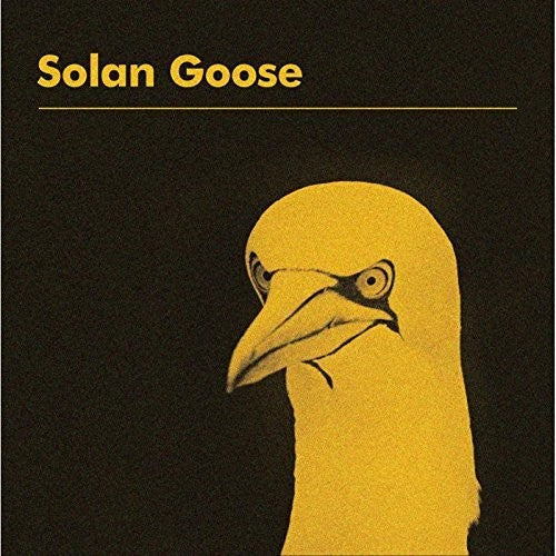 Cooper, Erland: Solan Goose (Vinyl LP)