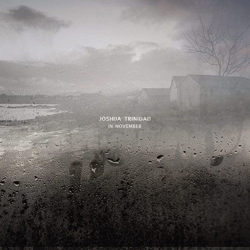 Trinidad, Joshua: In November (Vinyl LP)