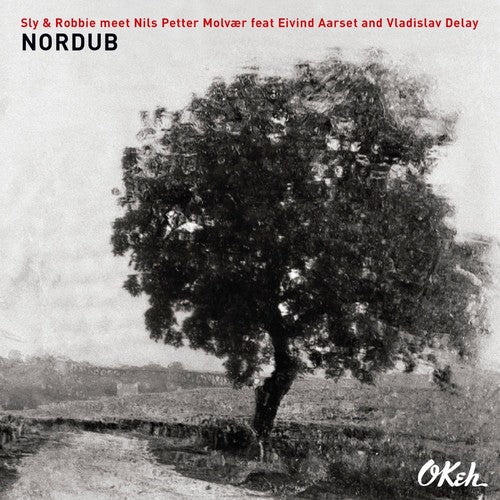 Sly & Robbie / Molvaer, Nils Petter / Aarset, Eivind: Nordub (Vinyl LP)