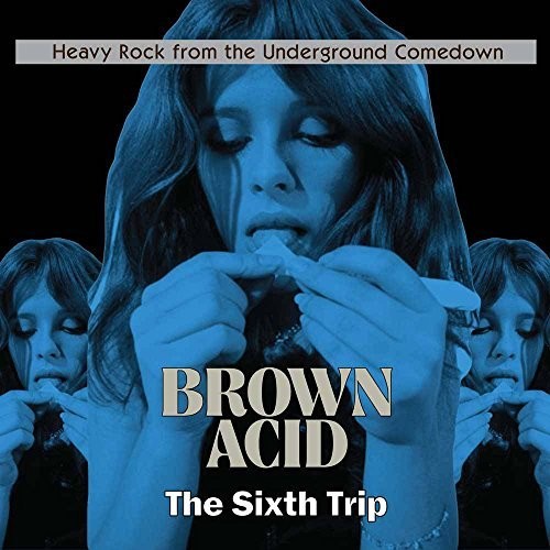 Brown Acid - the Sixth Trip / Various: Brown Acid - The Sixth Trip (Various Artists) (Vinyl LP)