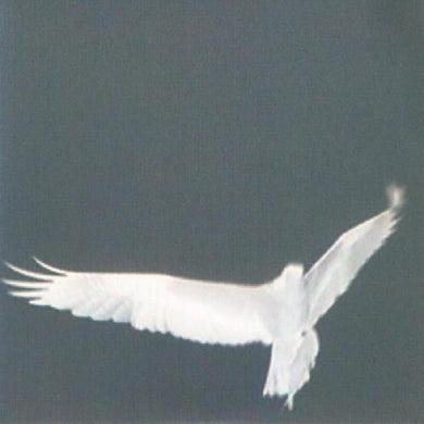 Bardo Pond: Adrop / Circuit Viii (Vinyl LP)