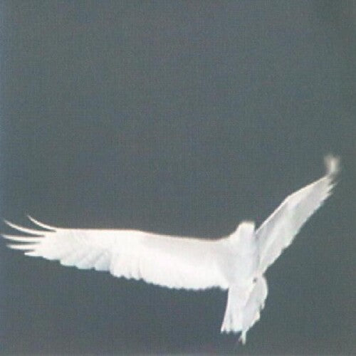 Bardo Pond: Adrop / Circuit Viii (Vinyl LP)