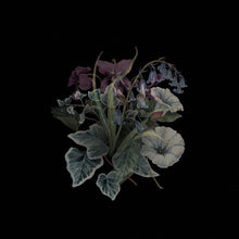 Nhor: Wildflowers (Vinyl LP)