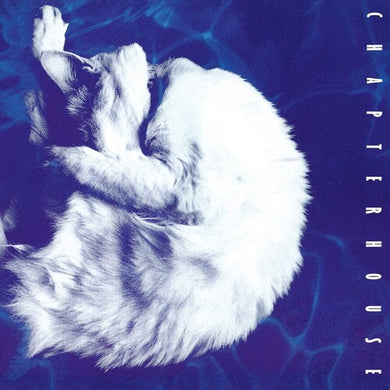 Chapterhouse: Whirlpool [Limited Blue & Silver Marble Colored Vinyl] (Vinyl LP)