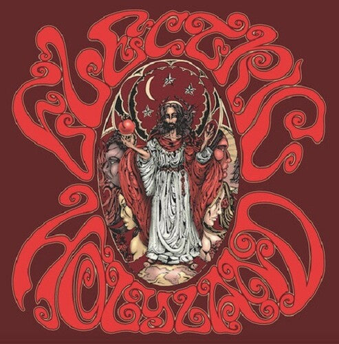 Various Artists: Electric Holyland (Various Artists) (Vinyl LP)