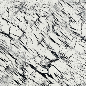 Abrams, Joshua: Excavations 1 (Vinyl LP)