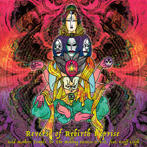 Acid Mothers Temple: Reverse Of Rebirth Reprise (Vinyl LP)