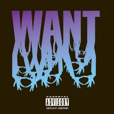 3Oh!3: Want (Vinyl LP)
