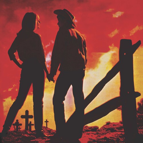 Various Artists: Troubled Troubadours / Various (Vinyl LP)