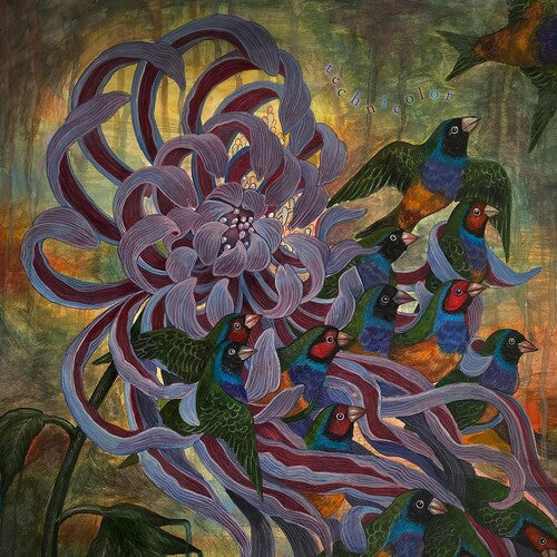 Covet: Technicolor (Vinyl LP)