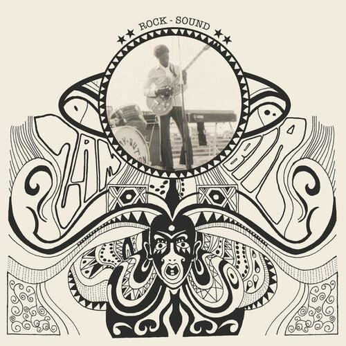 Various Artists: Rock Sound / Various (Vinyl LP)