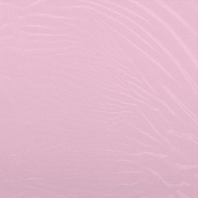 Cam'Ron: The Program (Clear Vinyl LP + Bandana) (Vinyl LP)