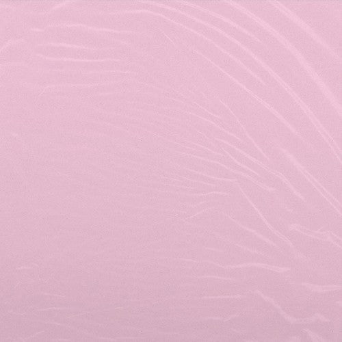 Cam'Ron: The Program (Clear Vinyl LP + Bandana) (Vinyl LP)