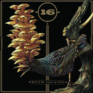16: Dream Squasher (Vinyl LP)