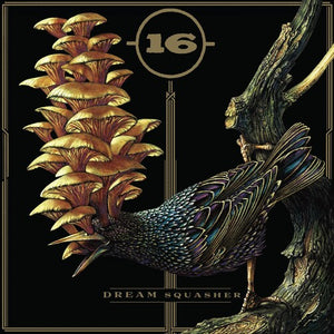 16: Dream Squasher (Vinyl LP)
