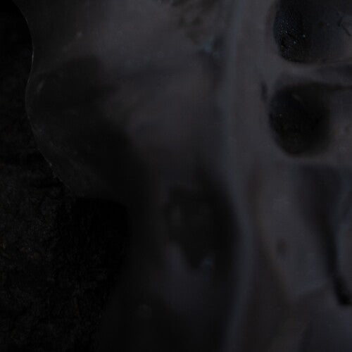 Vito Gatto: Evolve (Vinyl LP)