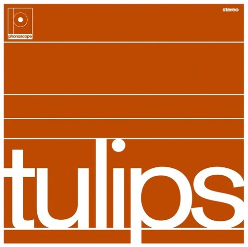 Maston: Tulips (Vinyl LP)