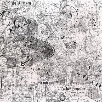 Gamedze, Asher: Dialectic Soul (Vinyl LP)