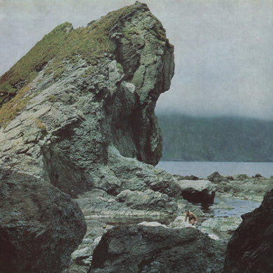 Motorama: Many Nights (Vinyl LP)