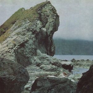 Motorama: Many Nights (Vinyl LP)