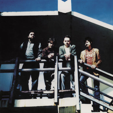 Reigning Sound: Home For Orphans (Vinyl LP)