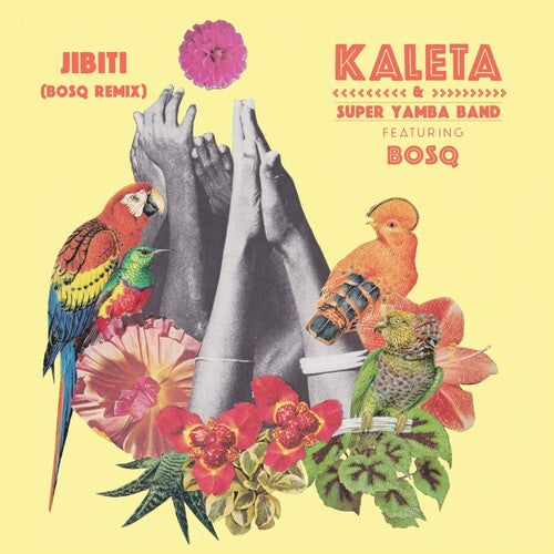 Kaleta & Super Yamba Band / Bosq: Jibiti (Bosq Remix) (7-Inch Single)