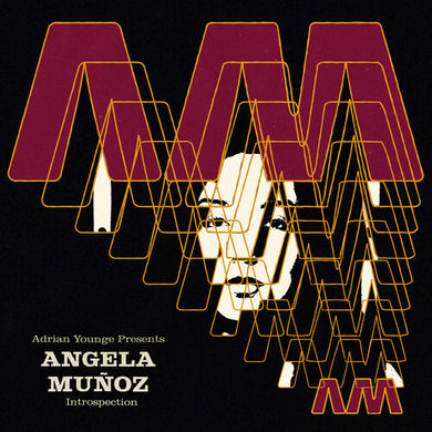 Angela Munoz: Introspection (Vinyl LP)