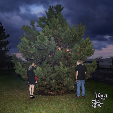 100 Gecs: 1000 Gecs (Vinyl LP)