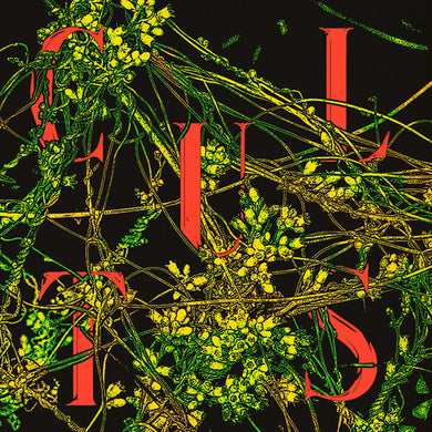 Cults: Host (IEX) (Evergreen Vinyl) (Vinyl LP)