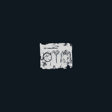 A Swarm of the Sun: The Woods (Vinyl LP)