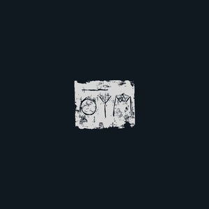 A Swarm of the Sun: The Woods (Vinyl LP)