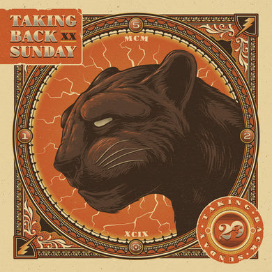 Taking Back Sunday: Twenty (Indie Exclusive) (Vinyl LP)