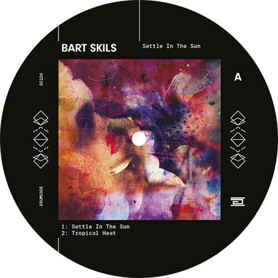 Bart Skils: Settle In The Sun (12-Inch Single)