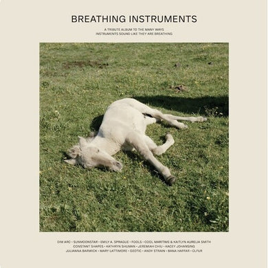 Breathing Instruments / Various: Breathing Instruments (Various Artists) (Vinyl LP)