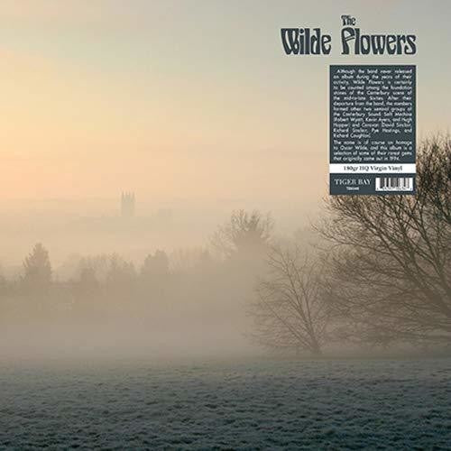 The Wilde Flowers: Wilde Flowers (Vinyl LP)