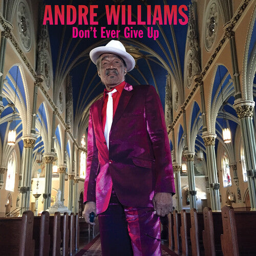 Williams, Andre: Dont Ever Give Up (Vinyl LP)